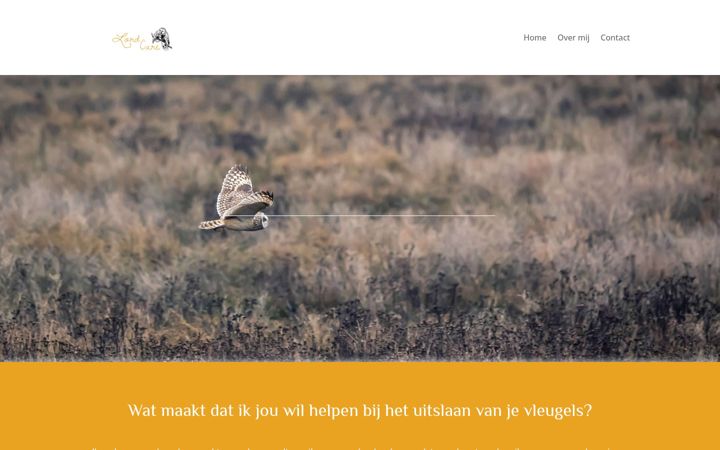 Screenshot of lordcare.nl