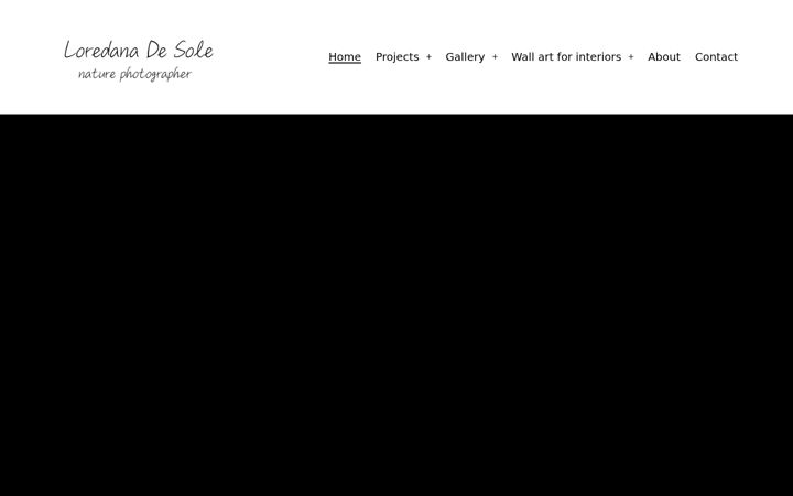 Screenshot of loredanadesole.com