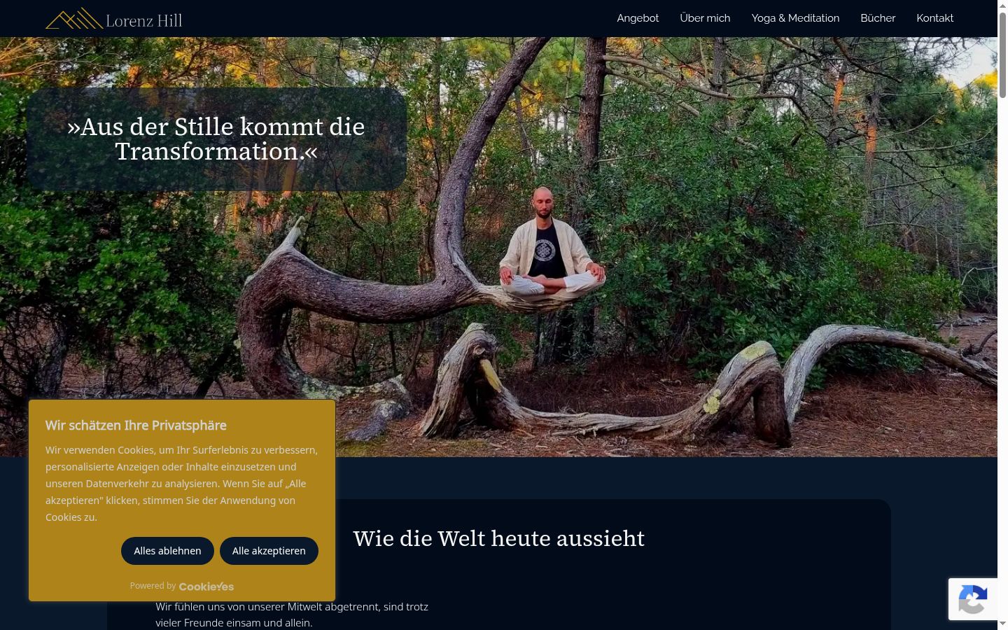 Sutikimo reklamjuostės, rodytos prieš bet kokią sąveiką, ekrano kopija