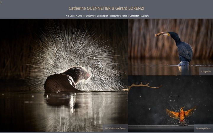 Screenshot of lorenzi-quennetier.com