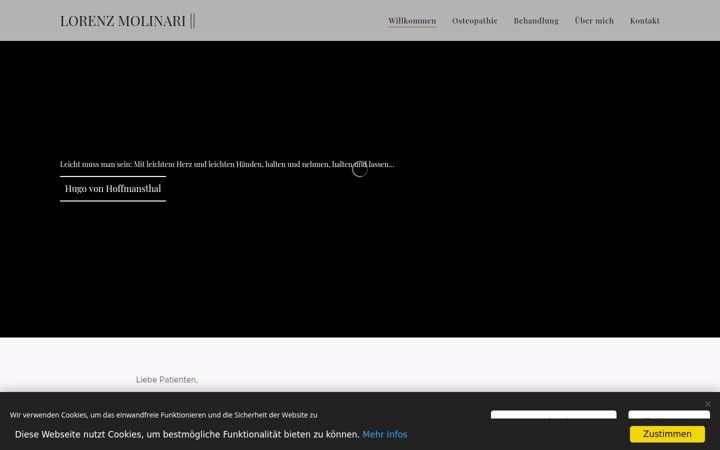 Screenshot of lorenzmolinari.com