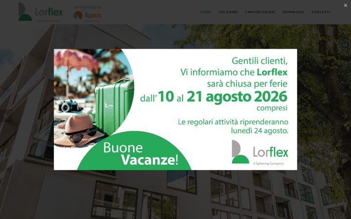 Screenshot of lorflex.it