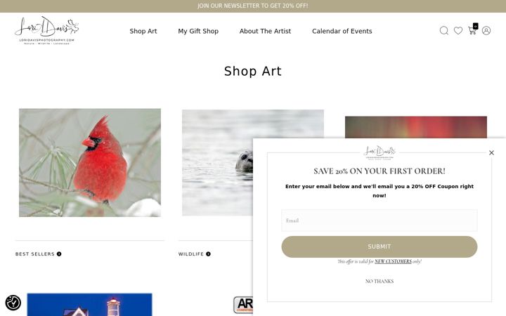 Screenshot of loridavisphotography.com