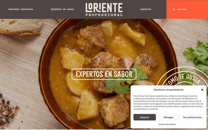 Screenshot of lorienteprofessional.es