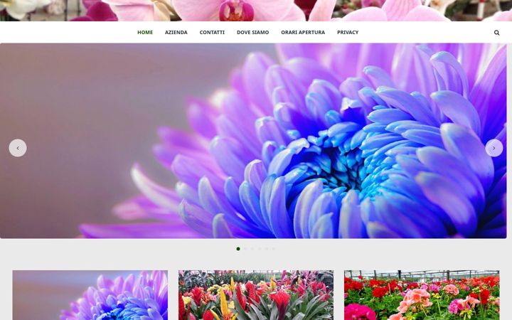 Screenshot of lortofloraversiliese.com