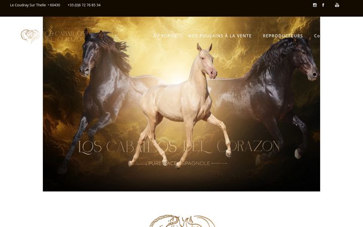 Screenshot of loscaballosdelcorazon.com