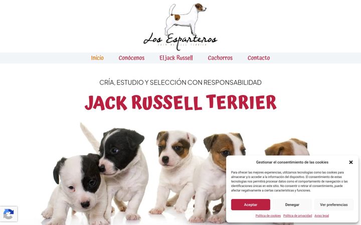 Screenshot van losesparteros.com