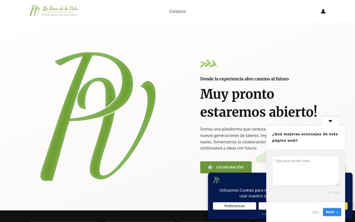Screenshot of lospasosdelavida.es