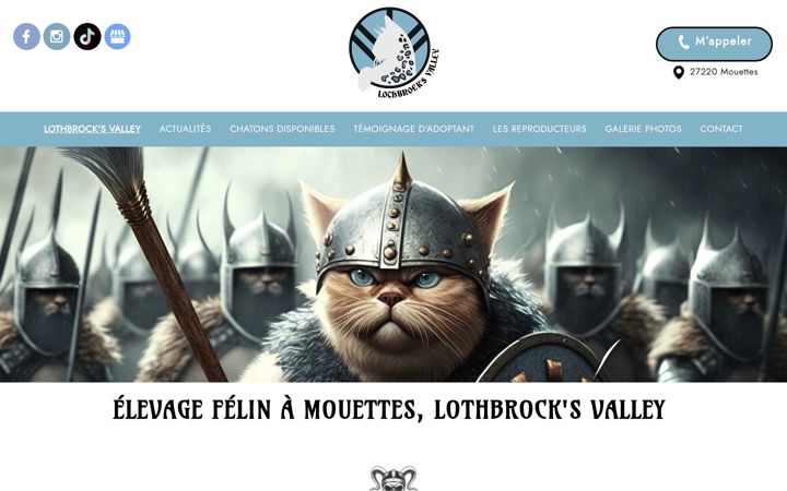 Screenshot of lothbrocks-valley.fr