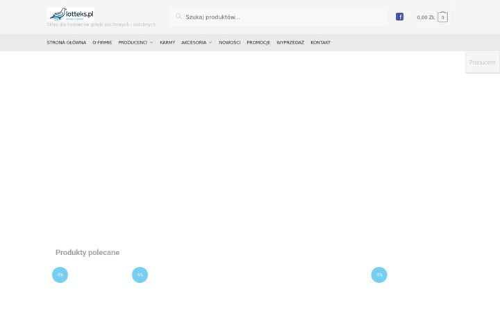 Screenshot of lotteks.pl
