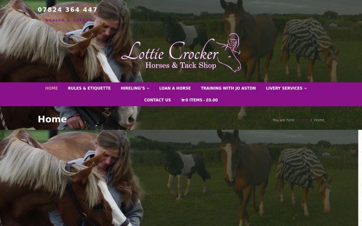 Screenshot of lottiecrocker.co.uk
