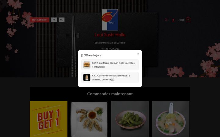 Screenshot of loui-halle.be