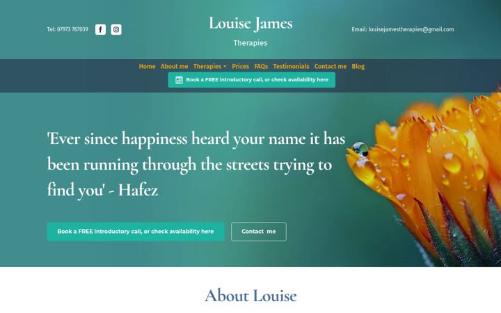Screenshot of louisejamestherapies.com