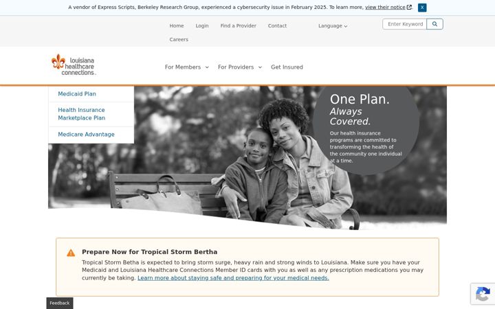 Screenshot of louisianahealthconnect.com