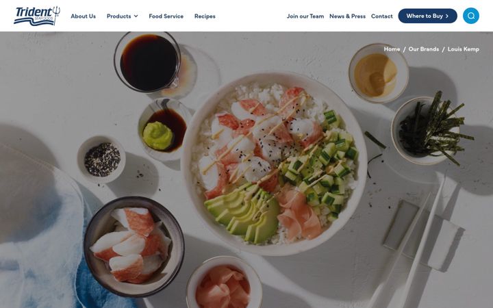 Screenshot of louiskemp.com