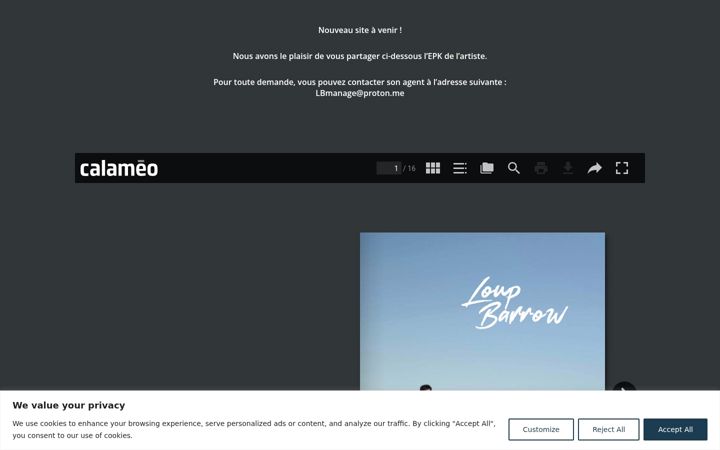 Screenshot of loupbarrow.com