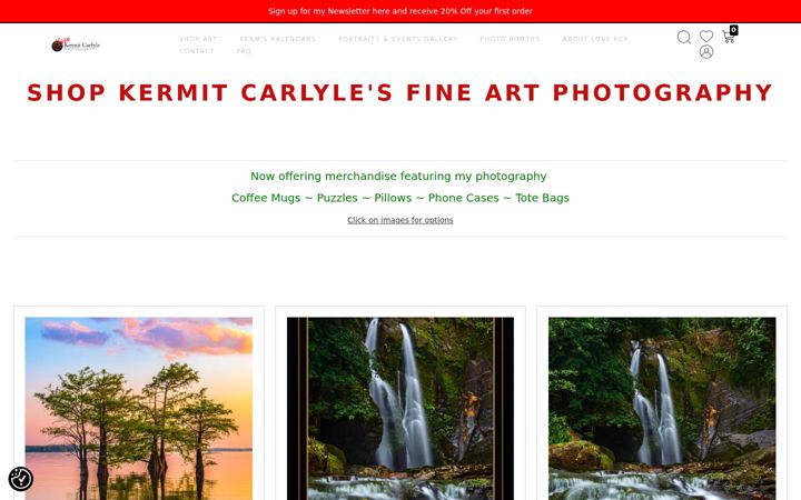 Screenshot of lovekermitcarlyle.com