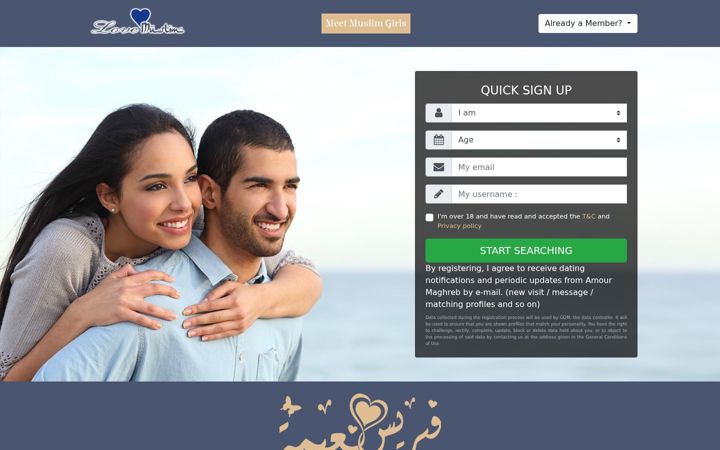 Screenshot of lovemuslim.net
