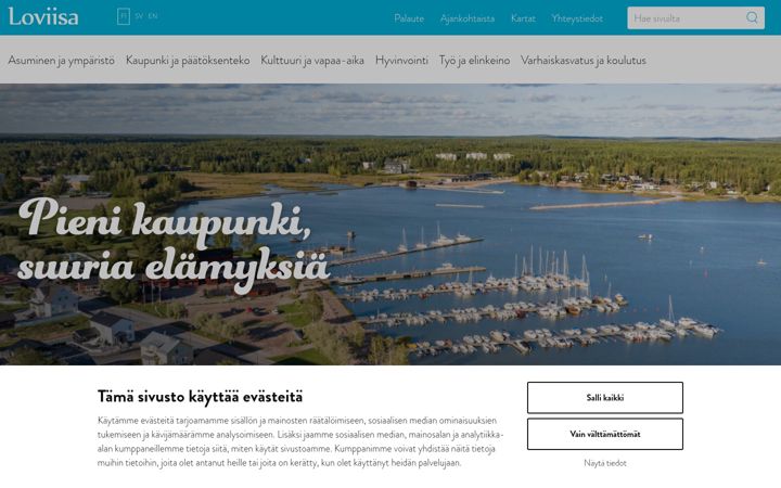 Skjermbilde av loviisa.fi