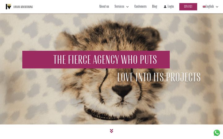 Screenshot of lovvisad.com