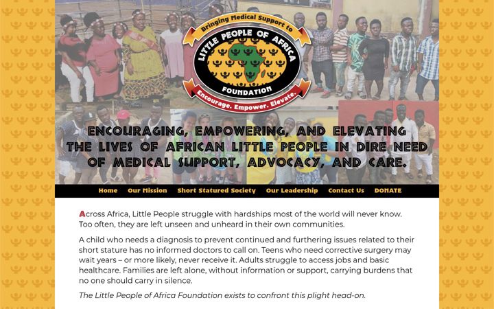 Screenshot of lpafrica.org