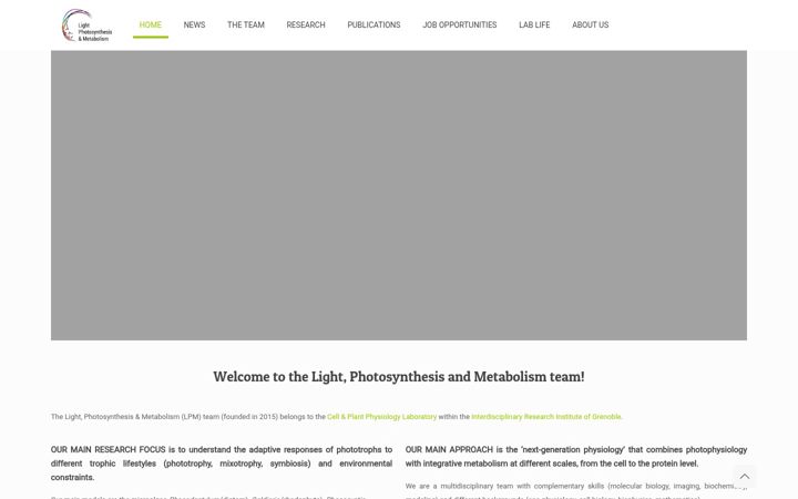 Screenshot of lpm-research.com