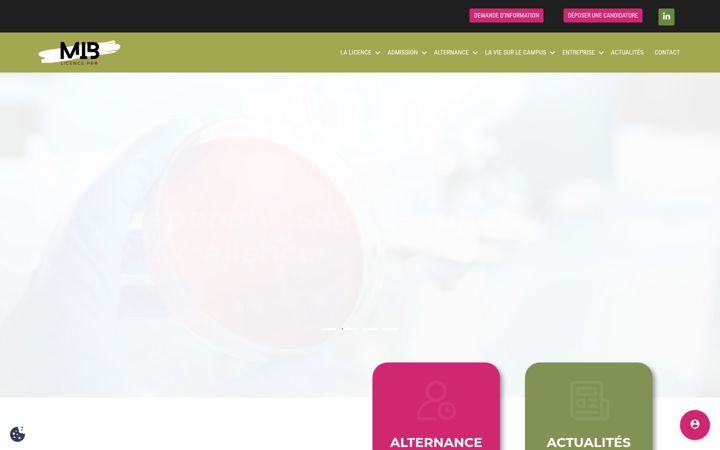 Screenshot of lpromib-lyon.fr