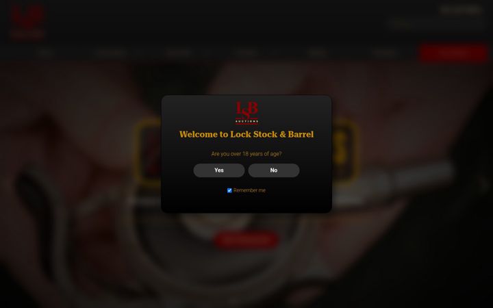 Screenshot of lsbauctions.com