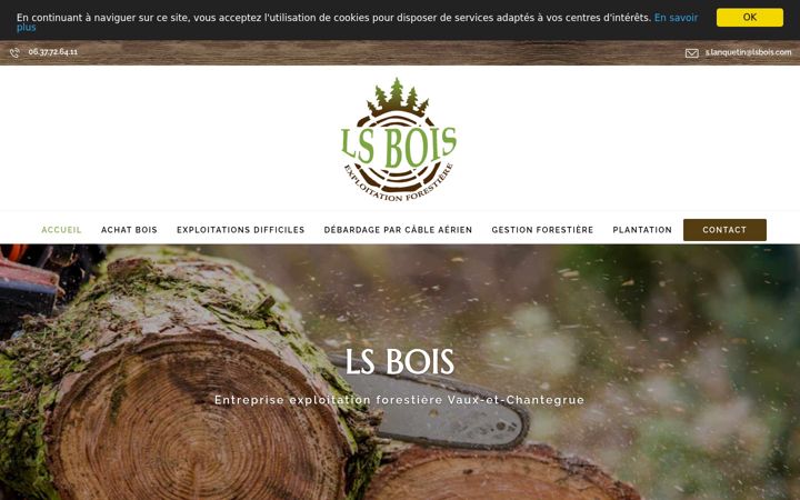 Screenshot of lsbois.fr