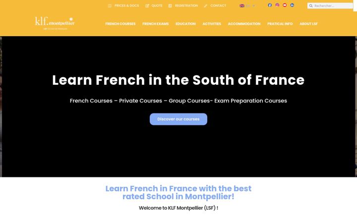 Screenshot of lsf-france.com