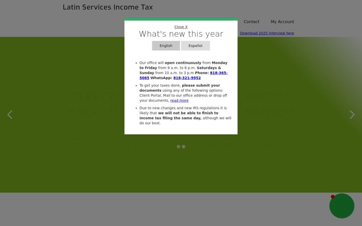 Screenshot of lsincometax.com