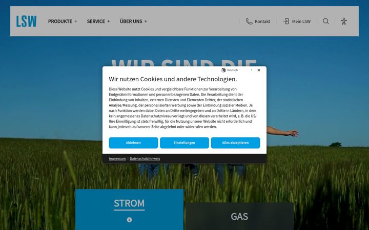 Screenshot of lsw.de