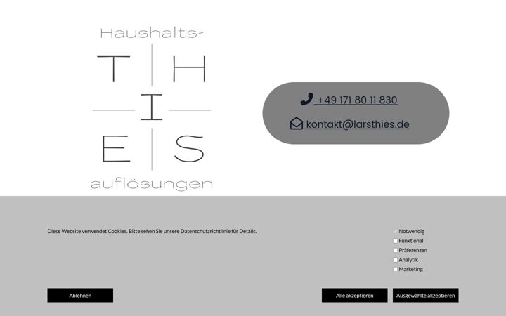 Screenshot of lthies.de