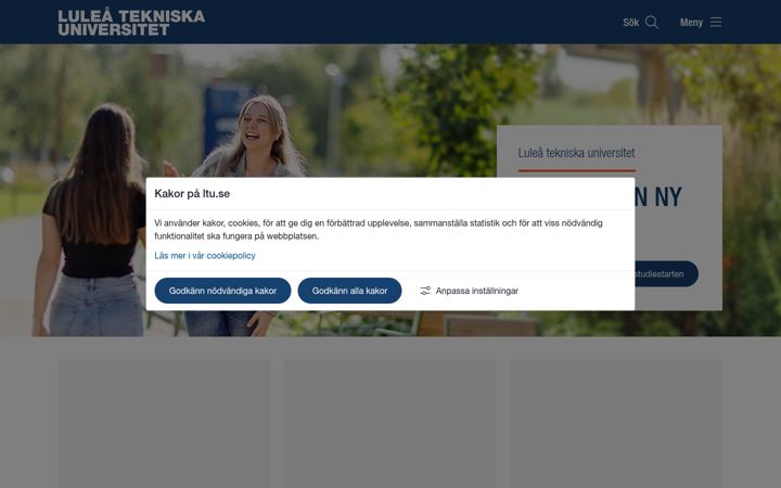 Screenshot van ltu.se