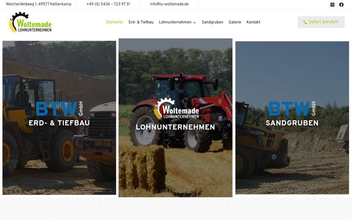 Screenshot of lu-woltemade.de