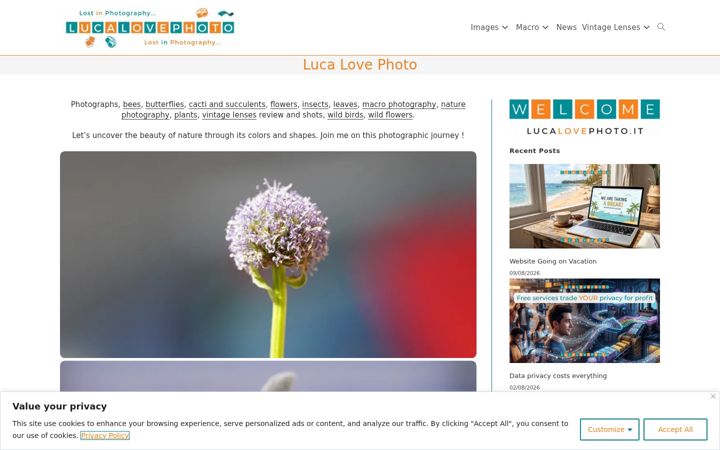 Screenshot of lucalovephoto.it
