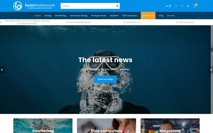 Screenshot of lucasdivestore.com