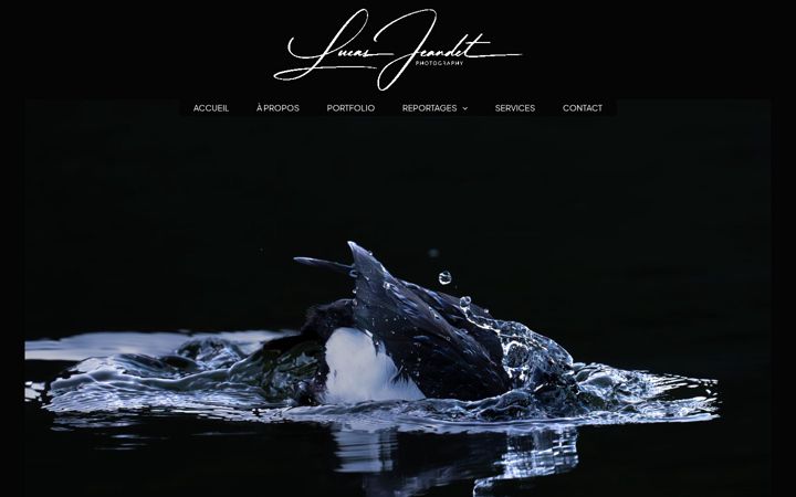 Screenshot of lucasjeandet.ch
