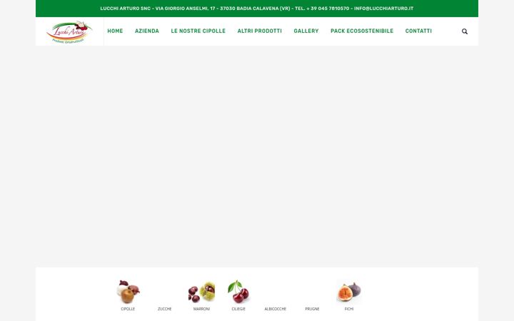 Screenshot of lucchiarturo.it