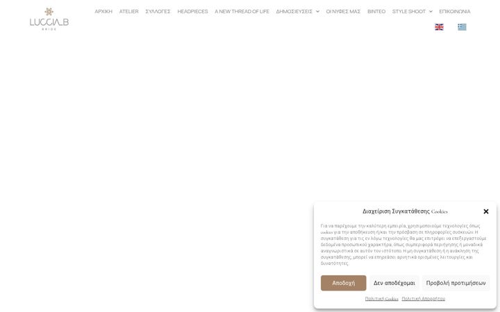 Screenshot of lucciab.com