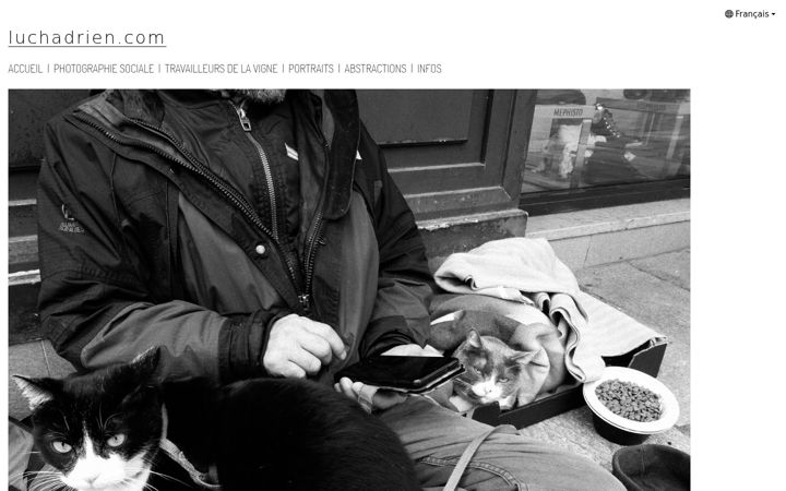 Screenshot of luchadrien.com