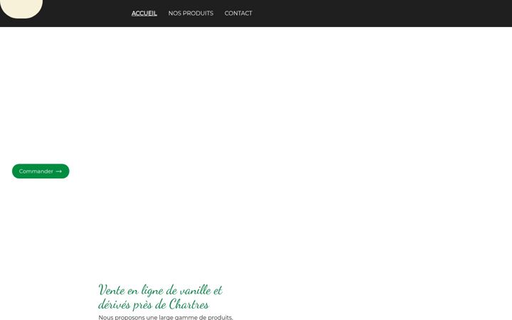 Screenshot of luciavanille.fr