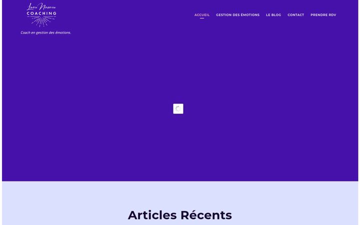 Screenshot of lucienavarre.fr