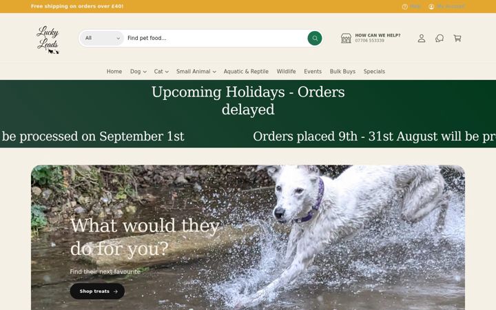 Screenshot of luckyleads.co.uk