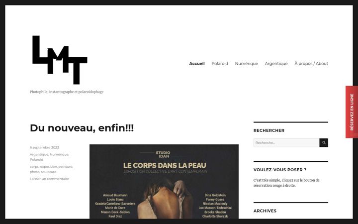 Screenshot of lucmassontodeschini.com