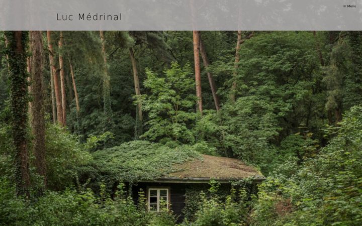 Screenshot of lucmedrinalphoto.com