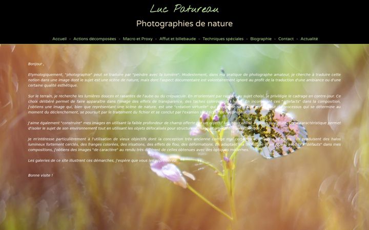 Screenshot of lucpatureau.be