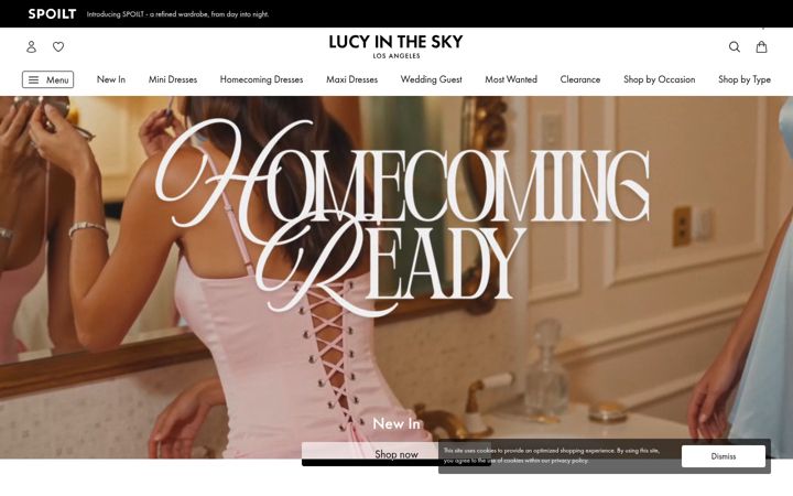 Screenshot of lucyinthesky.com