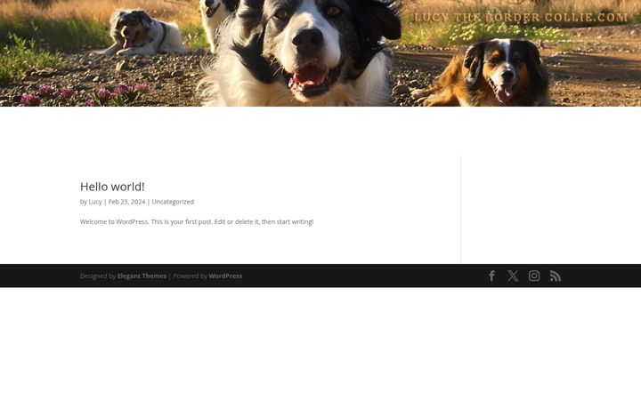 Screenshot of lucythebordercollie.com