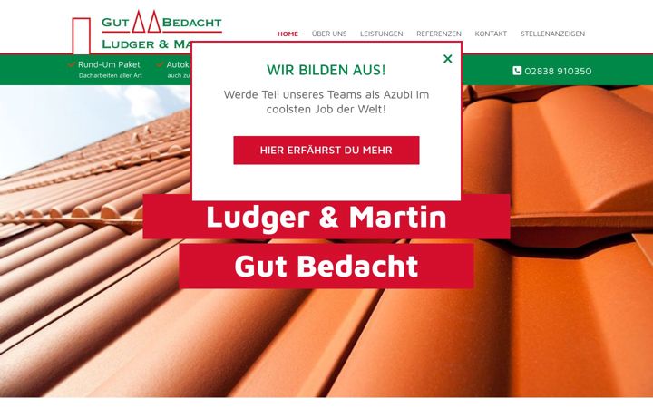 Screenshot of ludger-martin.de